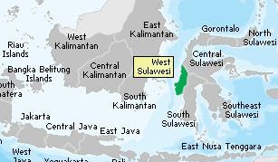 Dua Jasad Korban Pesawat AirAsia Ditemukan di Perairan Majene